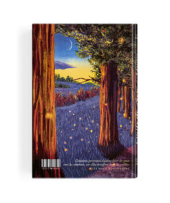 Alternative view of Emily de New Moon