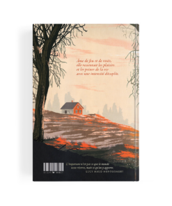 Alternative view of Anne de Green Gables