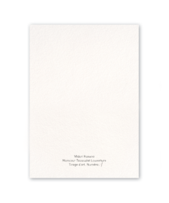 Alternative view of Miniature « La Quête d'Emily »*