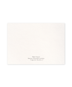 Alternative view of Miniature « La Quête d'Emily »